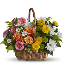 Sweet Tranquility Basket from Arjuna Florist in Brockport, NY